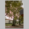 Platanenallee_MK4_3186.jpg