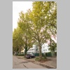 Platanenallee_MK4_3217.jpg