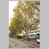 Platanenallee_MK4_3227.jpg